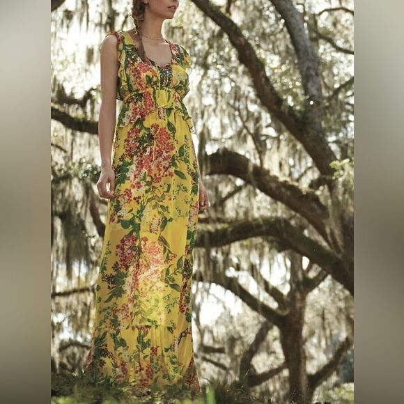 Anthropologie Plenty by Tracy Reese Silk Floral Garden Party Maxi Dress Sz S - Picture 2 of 6